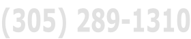 (305) 289-1310